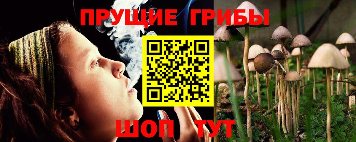 Ялта  Галлюциногенные грибы Magic Shrooms  Вход с VPN 